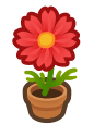 cosmos