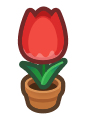 tulip